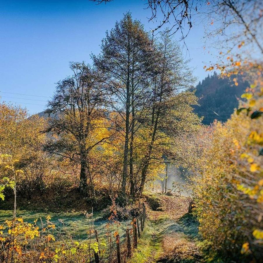 Moulin Des Borderies Bed and Breakfast Singles Buitenkant foto